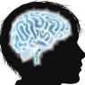 Причины и лечение спазмов сосудов головного мозга